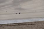 PICTURES/Great Sand Dunes National Park/t_P1020323.JPG